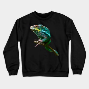 chameleon Zurich Crewneck Sweatshirt